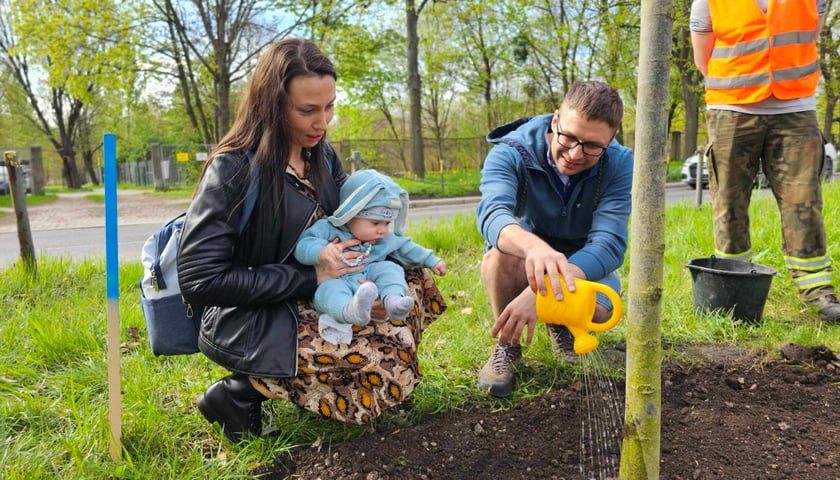 Powiększ obraz: <p>Piknik w parku na Niskich Łąkach i wiosenna edycja akcji WROśnij we WROcław&nbsp;&nbsp;</p>