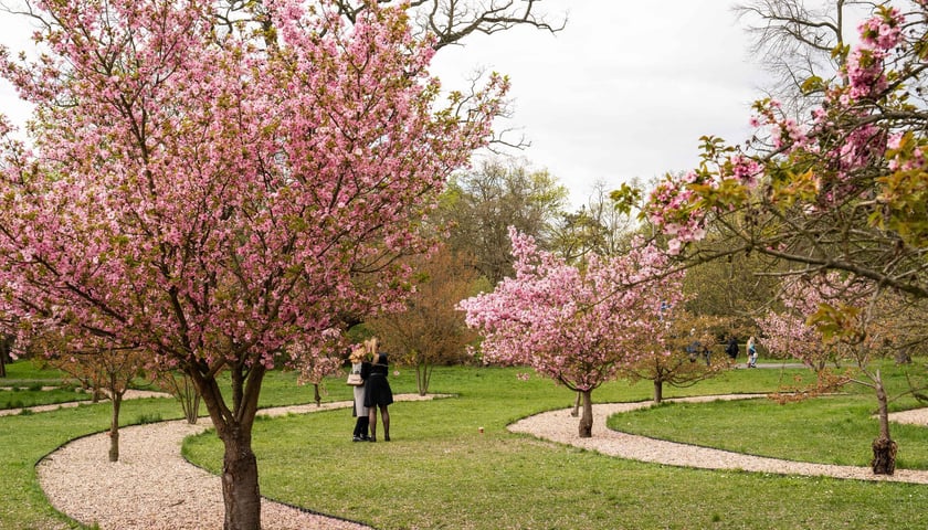 Powiększ obraz: Park Szczytnicki