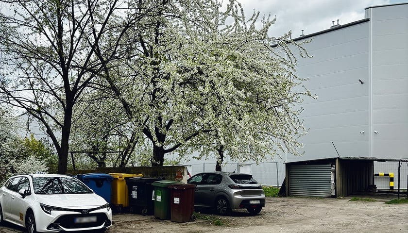 Powiększ obraz: Przy ul. Długosza 62 pojawią się: ławki, wiaty śmietnikowe i nasadzenia