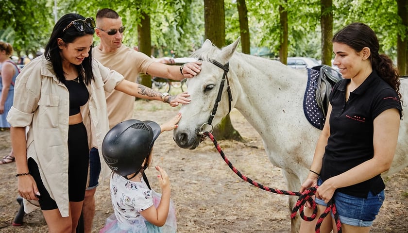 Powiększ obraz: Przejażdżki na kucykach