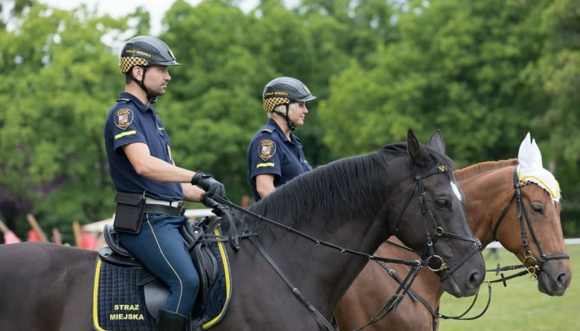 Powiększ obraz: <p>Funkcjonariusze Straży Miejskiej Wrocławia na koniach&nbsp;</p>