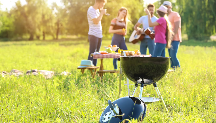 Powiększ obraz: Grill na polanie