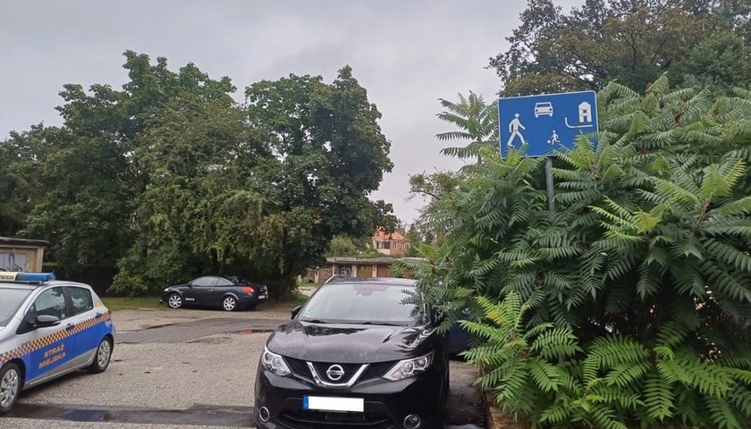 Przykłady niezgodnego z prawem parkowania