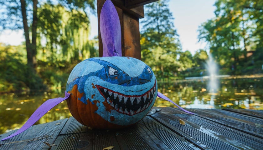 Powiększ obraz: 21. Festiwal Dyni we wrocławskim Ogrodzie Botanicznym