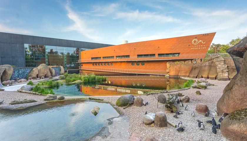 Powiększ obraz: Afrykarium we Wrocławiu