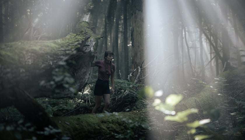 Powiększ obraz: kadr z filmu o Simonie Kossak