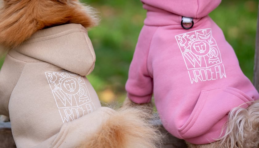 Powiększ obraz: Na zdjęciu dwa pieski ubrane w różową i beżową bluzę z herbem Wrocławia.