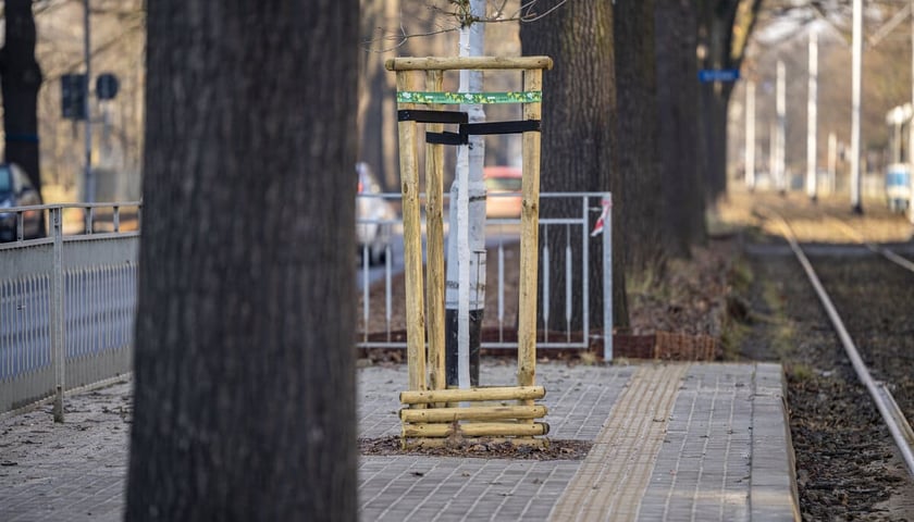 Powiększ obraz: <p>przystanek Spółdzielcza</p>