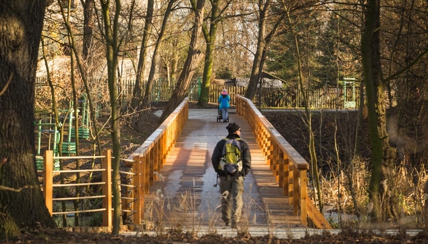 Powiększ obraz: Drewniany mostek w Swojczyckim Parku Czarna Woda, WBO 2020