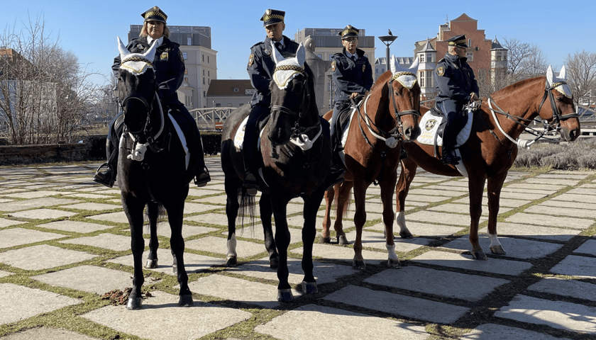 Powiększ obraz: <p>Obchody 87. rocznicy Kongresu Polak&oacute;w w Niemczech</p>