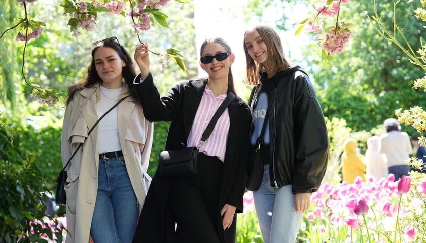 Festiwal tulipanów w Ogrodzie Botanicznym - 26.04.2025