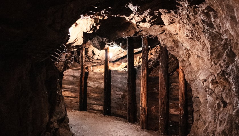 Powiększ obraz: <p>Podziemia zamkowe</p>