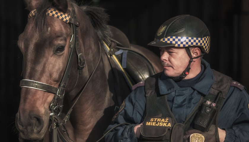 Powiększ obraz: Strażnik miejski ze swoim koniem
