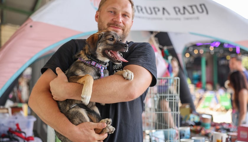 Powiększ obraz: Targi dla zwierzaków na Świebodzkim