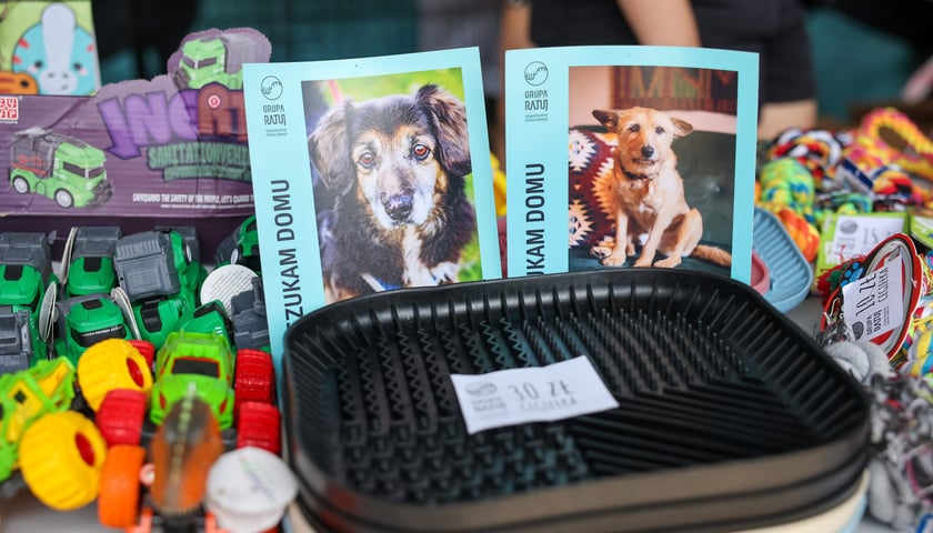 Powiększ obraz: Targi dla zwierzaków na Świebodzkim