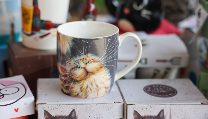 Powiększ obraz: Targi dla zwierzaków na Świebodzkim