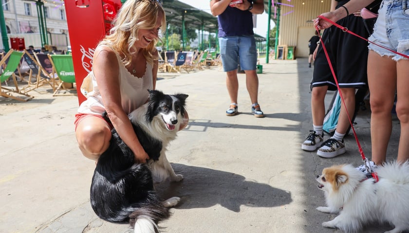 Powiększ obraz: Targi dla zwierzaków na Świebodzkim
