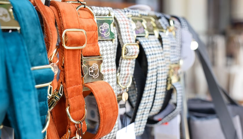 Powiększ obraz: Targi dla zwierzaków na Świebodzkim