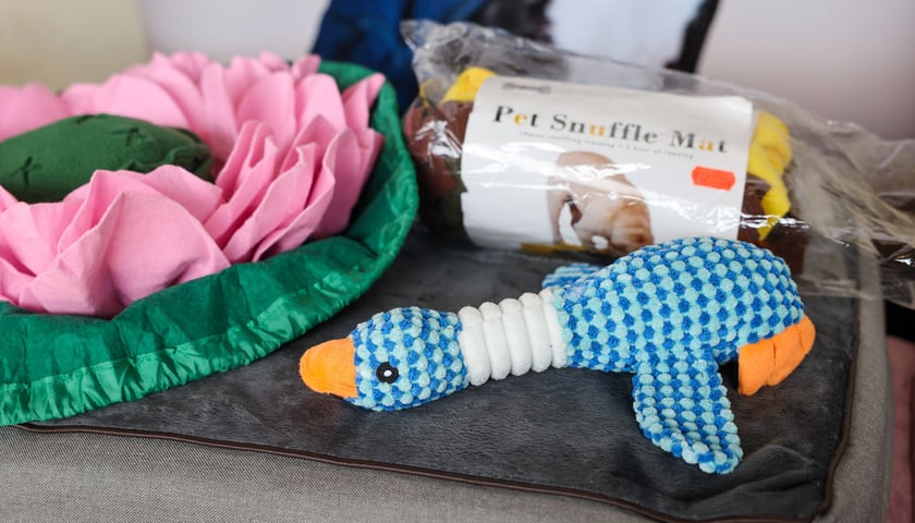 Powiększ obraz: Targi dla zwierzaków na Świebodzkim