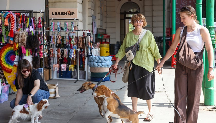 Powiększ obraz: Targi dla zwierzaków na Świebodzkim