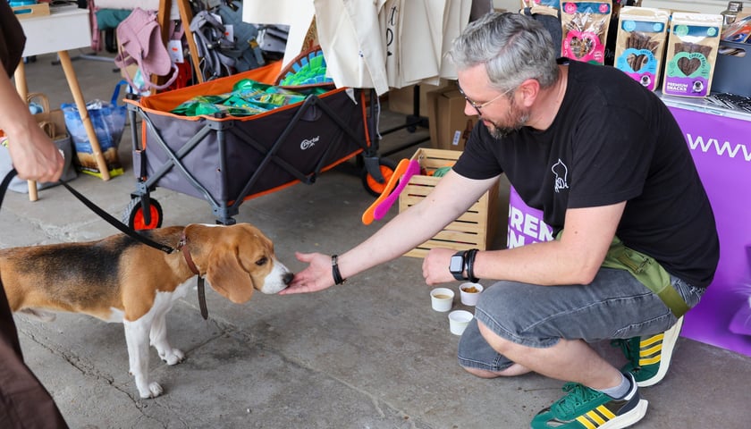 Powiększ obraz: Targi dla zwierzaków na Świebodzkim