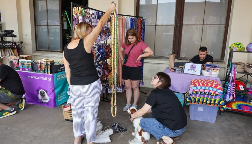 Powiększ obraz: Targi dla zwierzaków na Świebodzkim