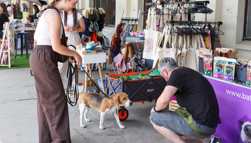 Powiększ obraz: Targi dla zwierzaków na Świebodzkim