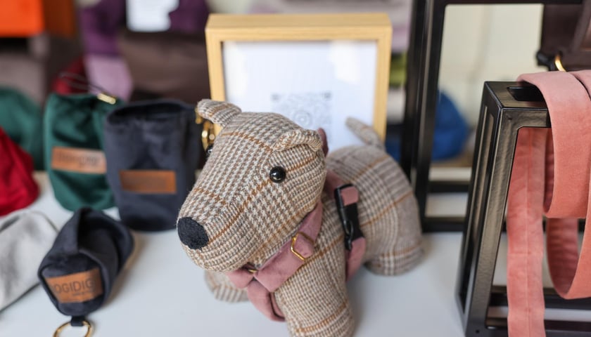 Powiększ obraz: Targi dla zwierzaków na Świebodzkim