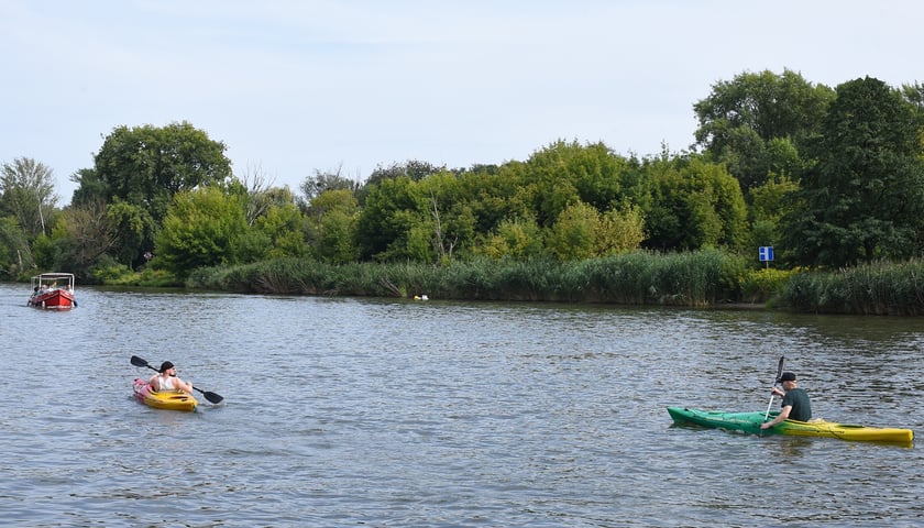 Powiększ obraz: Upalna sobota (9 sierpnia) we Wrocławiu