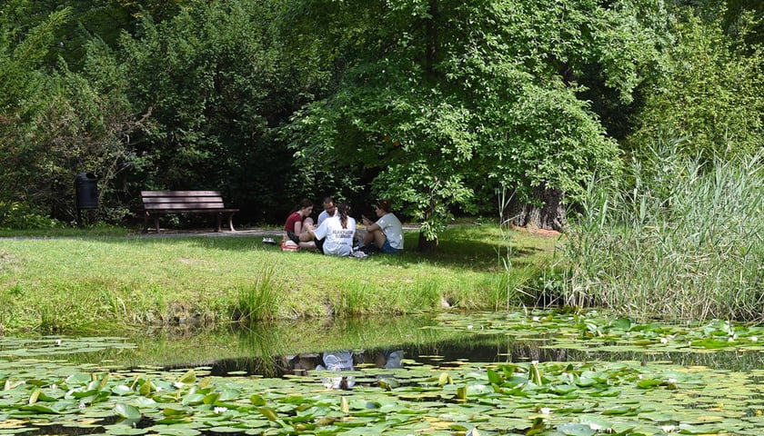 Powiększ obraz: Upalna sobota (9 sierpnia) we Wrocławiu