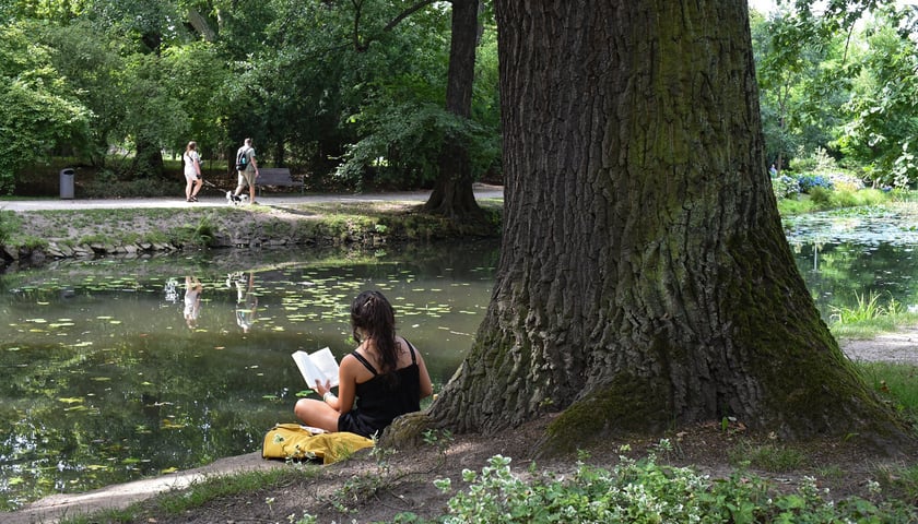 Powiększ obraz: Upalna sobota (9 sierpnia) we Wrocławiu