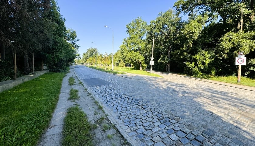 Trzmielowicka na Leśnicy w sierpniu 2025