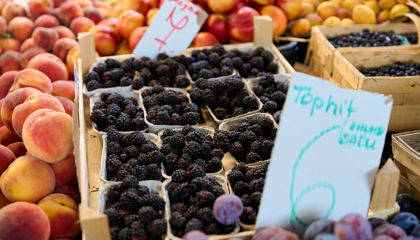 Targ na Ptasiej na wrocławskim osiedlu Nadodrze