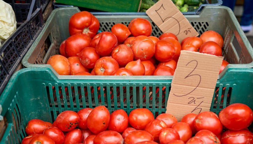Targ na Ptasiej na wrocławskim osiedlu Nadodrze