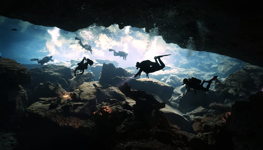 Powiększ obraz: <p>Nurkowanie w cenotach w Meksyku</p>