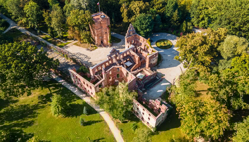 Powiększ obraz: Widok na ruiny Zespołu Pałacowo-Parkowego w Żmigrodzie
