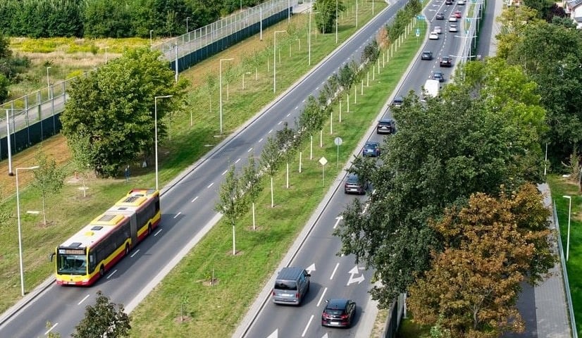 Powiększ obraz: Wrocław zazielenia się na nowo!