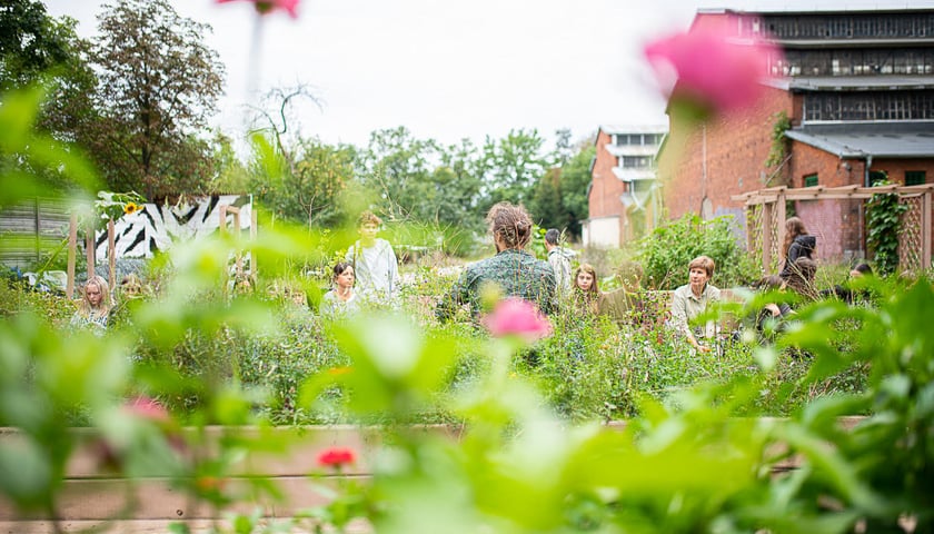Powiększ obraz: <p>Zdjęcie ilustracyjne: ogr&oacute;d społeczny w Czasoprzestrzeni we Wrocławiu podczas jednego z organizowanych tam wydarzeń</p>