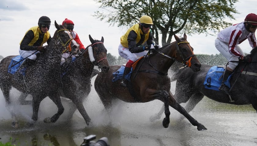 Powiększ obraz: <p>Wielka Wrocławska, zdjęcie archiwalne z 2023 roku</p>