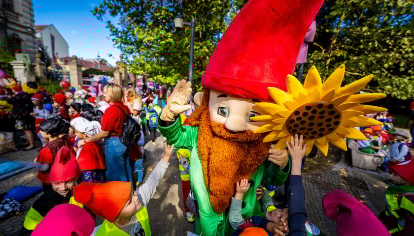 Powiększ obraz: Człowiek w przebraniu krasnala Życzliwka, w czerwonej spiczastej czapce, w zielonym stroju, z żółtym słonecznikiem w ręce