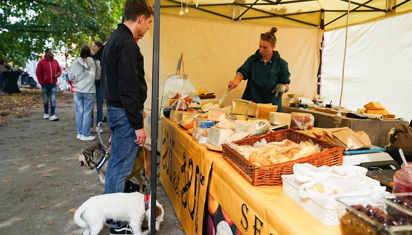Powiększ obraz: Sobota 13 września na Gastro Miasto przy bulwarze Dunikowskiego