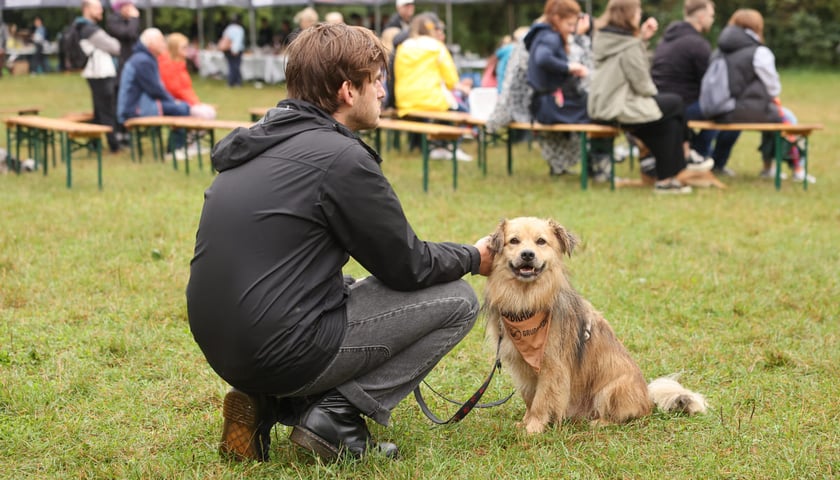 Powiększ obraz: Piknik Adopciaka zorganizowany przez Grupę Ratuj w parku Grabiszyńskim. Wrocław, 14.09.2025