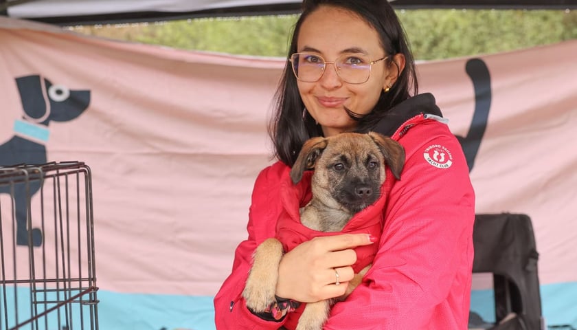 Powiększ obraz: Piknik Adopciaka zorganizowany przez Grupę Ratuj w parku Grabiszyńskim. Wrocław, 14.09.2025