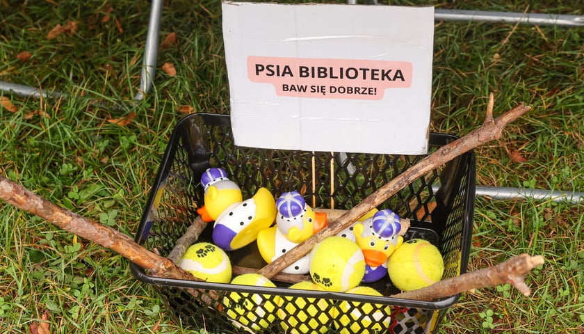 Powiększ obraz: Piknik Adopciaka zorganizowany przez Grupę Ratuj w parku Grabiszyńskim. Wrocław, 14.09.2025