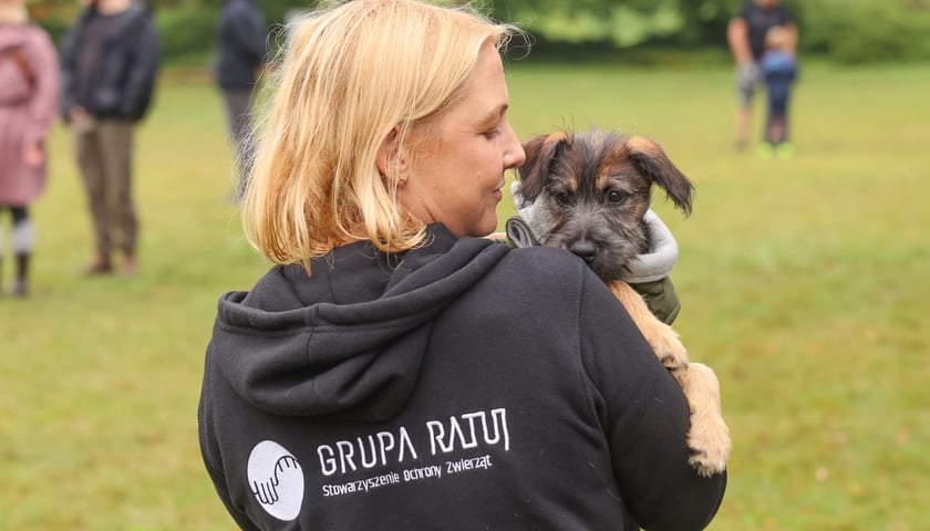 Powiększ obraz: <p>Piknik Adopciaka zorganizowany przez Grupę Ratuj w parku Grabiszyńskim. Wrocław, 14.09.2025</p>