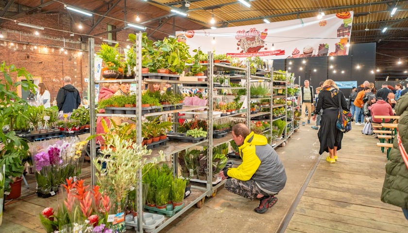 Powiększ obraz: Festiwal Kupuj Świadomie w Czasoprzestrzeni w weekend 13-14 września