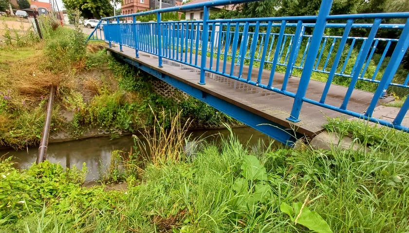 Powiększ obraz: <p>Kładka na ulicy Przedświt </p>