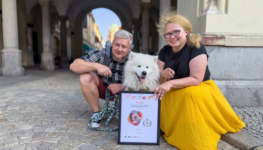 Powiększ obraz: <p>Bouli - 3. miejsce w konkursie "Psia Piękność"</p>