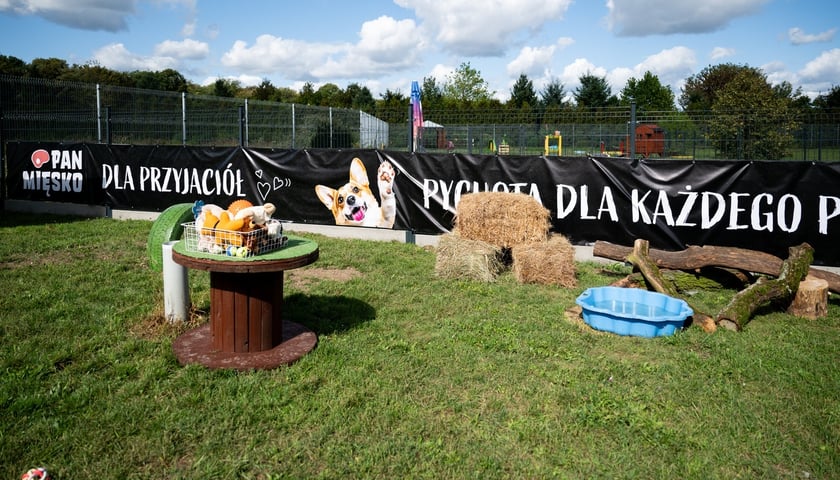 TOZ Schronisko dla Bezdomnych Zwierząt – otwarcie trzech nowych wybiegów
