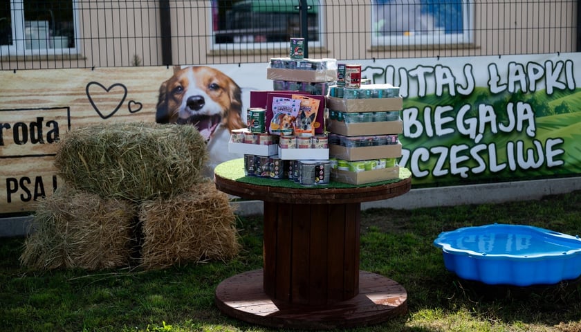 TOZ Schronisko dla Bezdomnych Zwierząt – otwarcie trzech nowych wybiegów